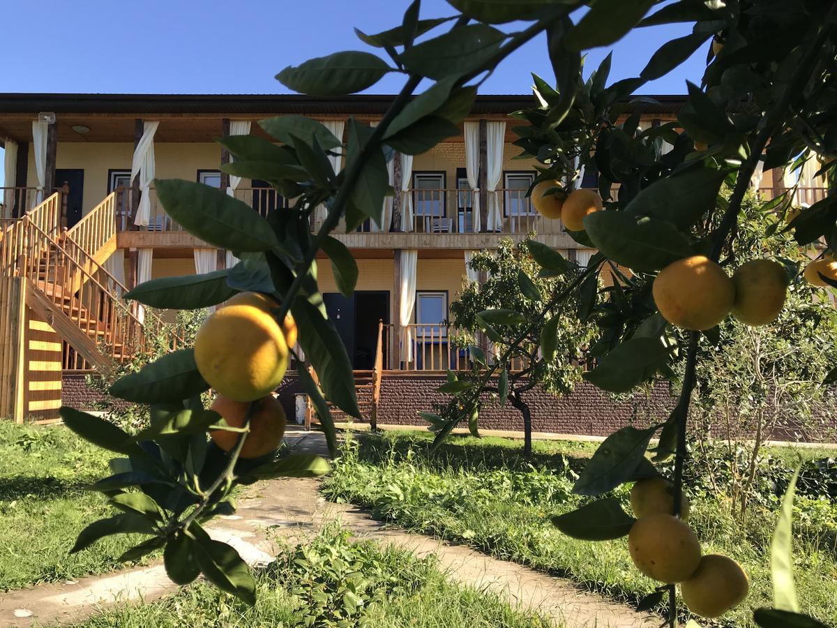 Gostievoi Dom Meri New Athos Exterior foto